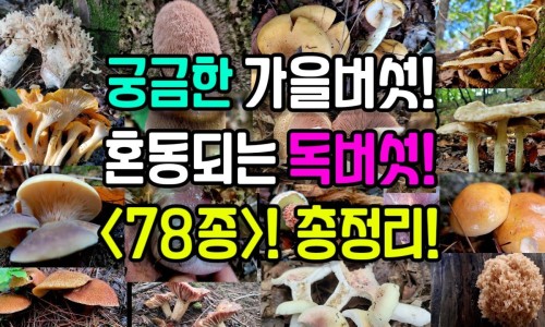 什么牌子牙膏最好用排行第一-什么牌子孕妇牙膏最好网 - 为你提供口碑最好的孕妇牙膏、什么牌子孕妇牙膏最好